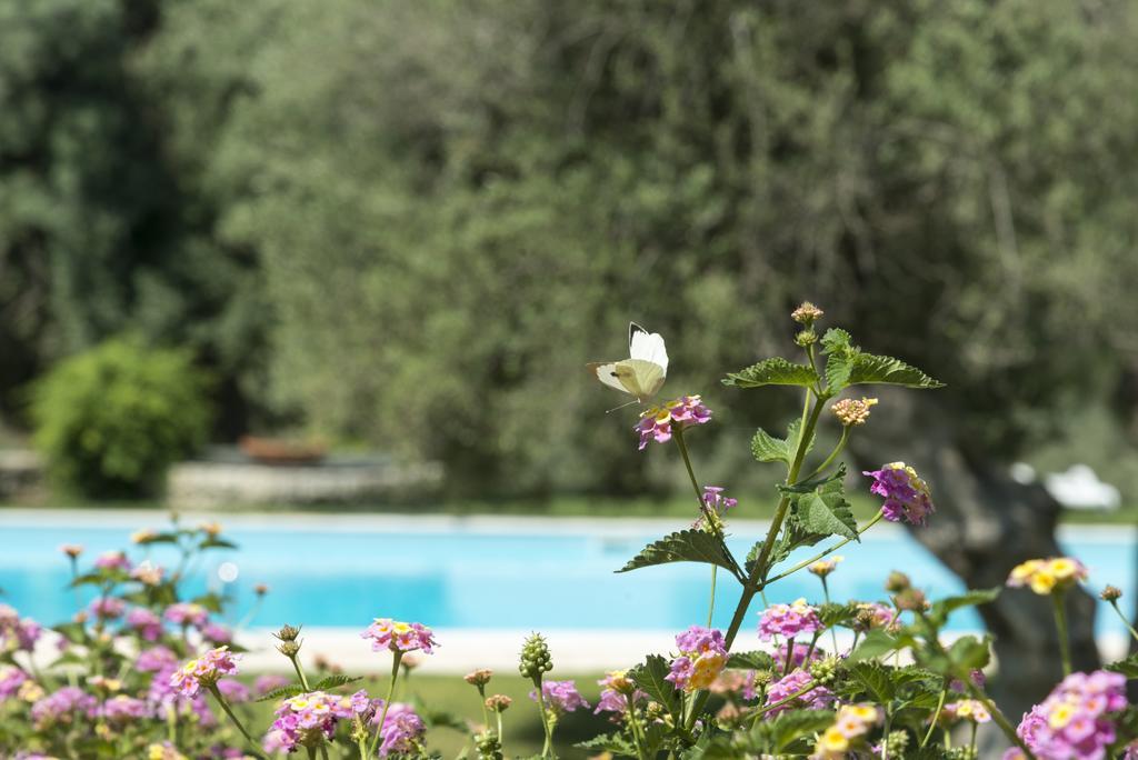 Agriturismo Borgo Degli Ulivi Canicattini Bagni Exteriér fotografie