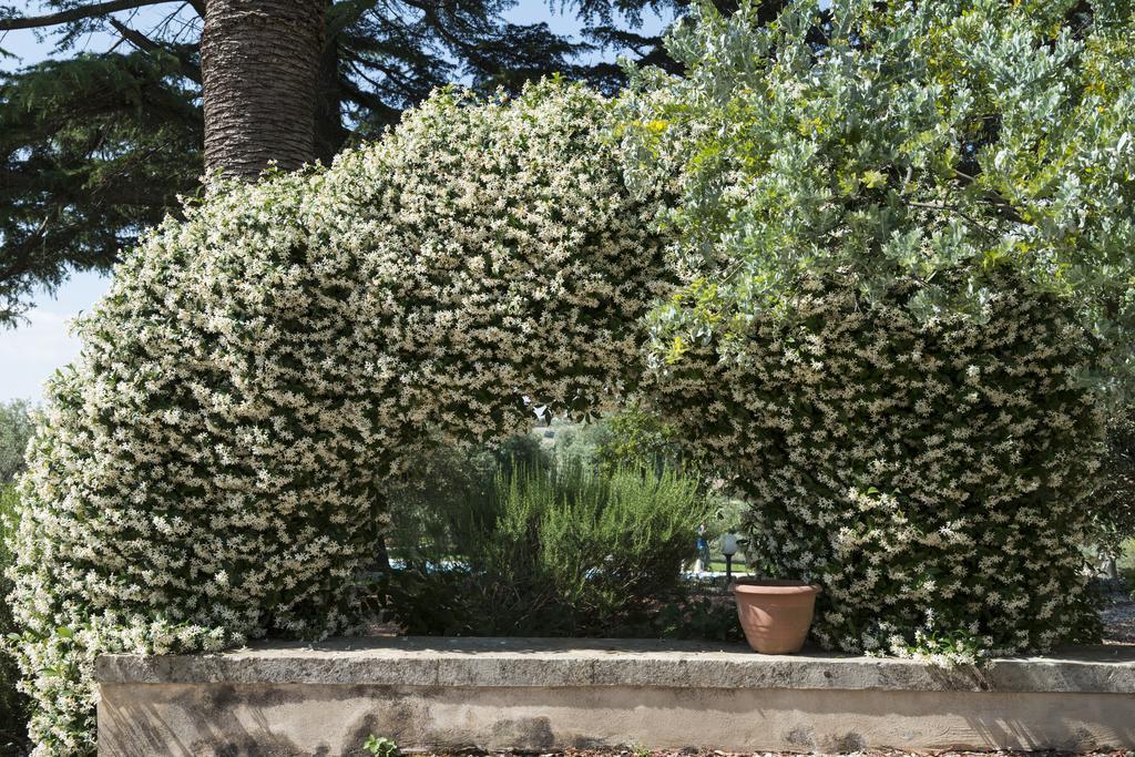 Agriturismo Borgo Degli Ulivi Canicattini Bagni Exteriér fotografie